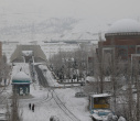 برف و زیبایی زمستانی در دانشگاه علامه طباطبائی