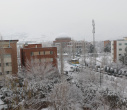 برف و زیبایی زمستانی در دانشگاه علامه طباطبائی