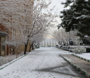 برف و زیبایی زمستانی در دانشگاه علامه طباطبائی