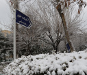 برف و زیبایی زمستانی در دانشگاه علامه طباطبائی