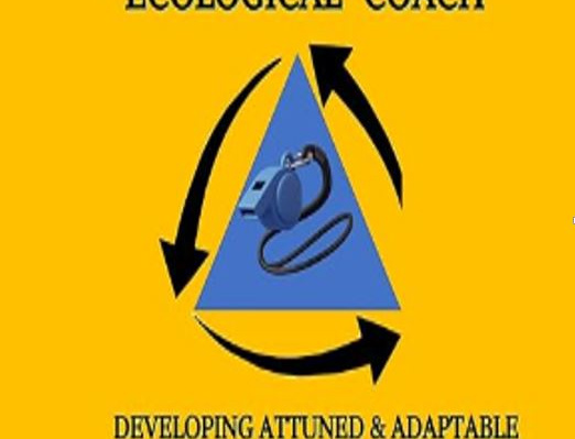 learning to be an “ecological” coach: developing attuned & adaptable coaching skills
