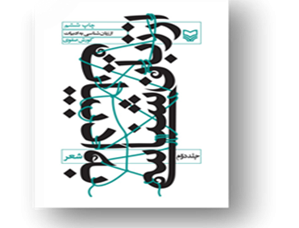 زبان‌شناسی ادبیات: جلد دوم شعر