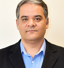 رضا افقی