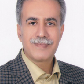 محمد بامنی مقدم