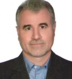 سید حسن قوامی