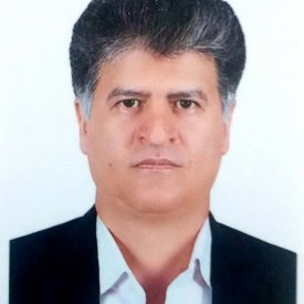 محمدهادی میرشمسی