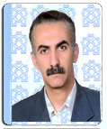 رضا پورطاهری