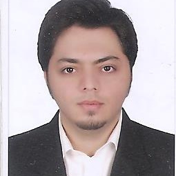 محمد امین زندی