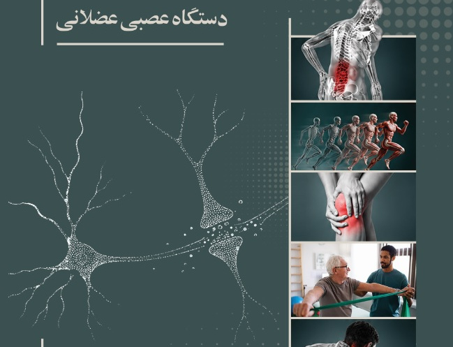 کینزیوپاتولوژی دستگاه عصبی عضلانی