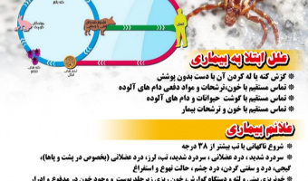آشنایی با علل ابتلا به تب کریمه کنگو و راه های پیشگیری و درمان آن 