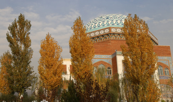 (تصاویر) زیبایی های پاییز در دانشگاه علامه طباطبائی