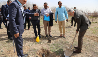 غرس ۵۰ نهال در پردیس مرکزی دانشگاه علامه طباطبائی به یاد شهدای دانشگاه
