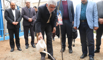 کاشت ۱۲۰ اصله نهال در پردیس مرکزی دانشگاه علامه‌طباطبائی