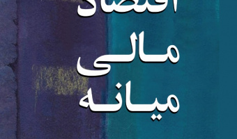 «اقتصاد مالی میانه»