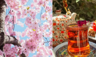 آخرین مهلت ثبت‌نام ارزاق صبحانه دانشجویی برای ساکنان خوابگاه‌های دانشگاه علامه‌طباطبائی