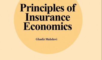 Principles of Insurance Economics