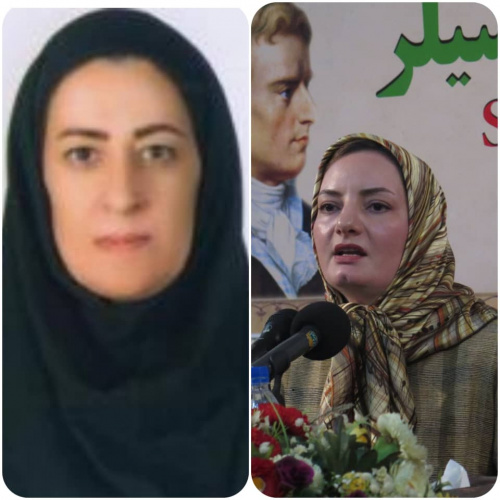 رتبه علمی ۲ عضو هیئت علمی دانشگاه علامه طباطبائی ارتقا یافت