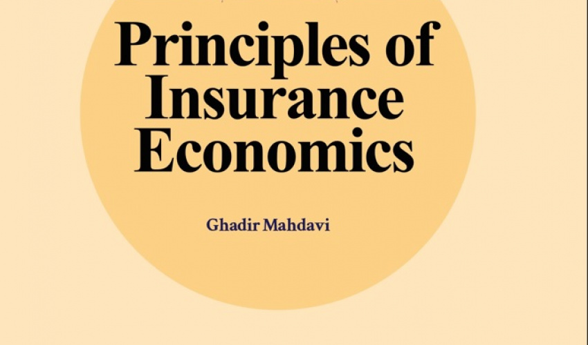 Principles of Insurance Economics