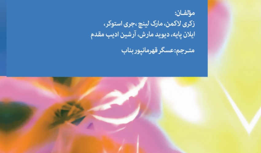 سیاست در آیینه نظریه: رهیافت‌های علوم سیاسی در بستر مطالعات خاورمیانه