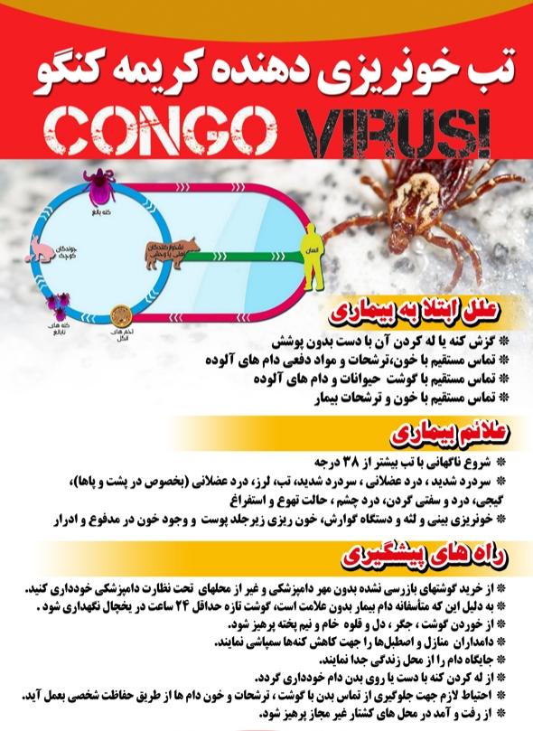 آشنایی با علل ابتلا به تب کریمه کنگو و راه های پیشگیری و درمان آن 
