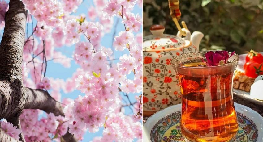 آخرین مهلت ثبت‌نام ارزاق صبحانه دانشجویی برای ساکنان خوابگاه‌های دانشگاه علامه‌طباطبائی