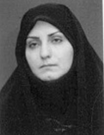 اعظم میرمسیب