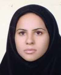 نگارسادات مفید