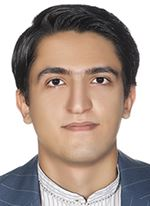 سیدامیرمحمد ارجمند