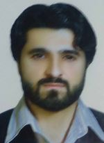 رضا مجدی