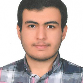 محمد هادی