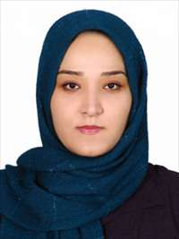 زیور اسدی بلفه تیموری