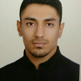 امیرحسین سعیدی نژاد اناری