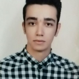 محمد حسینی