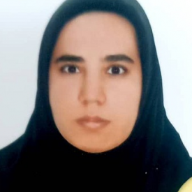 مینا انصاری