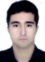 امیر بایزیدی