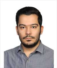 شاهین انتظامی راد