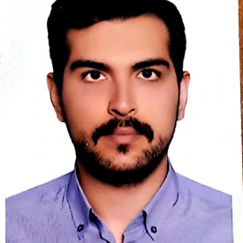 حامد حسن زاده