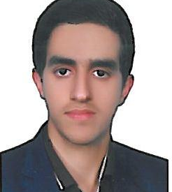 محسن روستائی