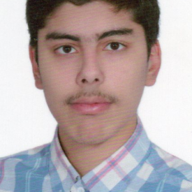 سینا جانی