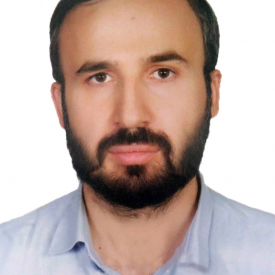 مجتبی حسنی قره تپه