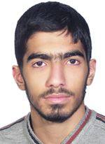 محمدمهدی وفسی