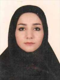 ال آی سلطان احمدی