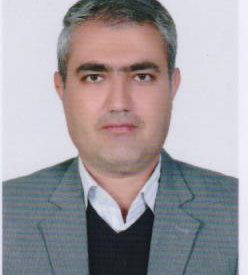 غلامرضا ذوالفقاری پور