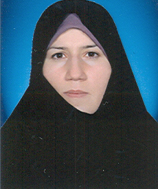 مهرالسادات مدنی فر