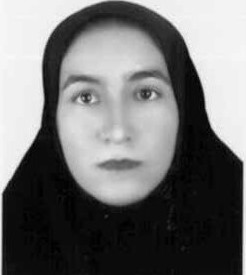 راضیه پور امیری