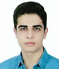 رضا صفی