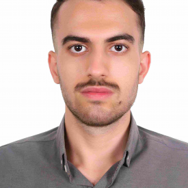 علی کاملی