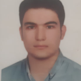علیرضا ارا