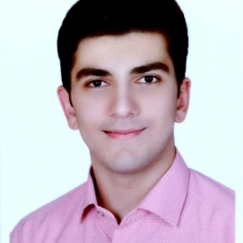 سیدمحمدحسین حنیفی یزدی