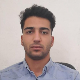 محمدامین تیمورپور